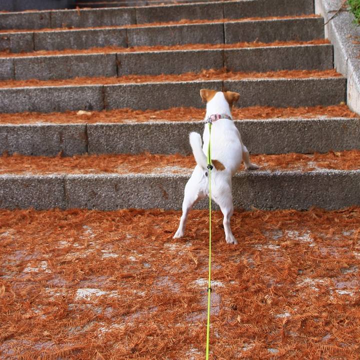 78319921 34fc 4d5c 8a14 5e6fc72dae1d 1544264678760