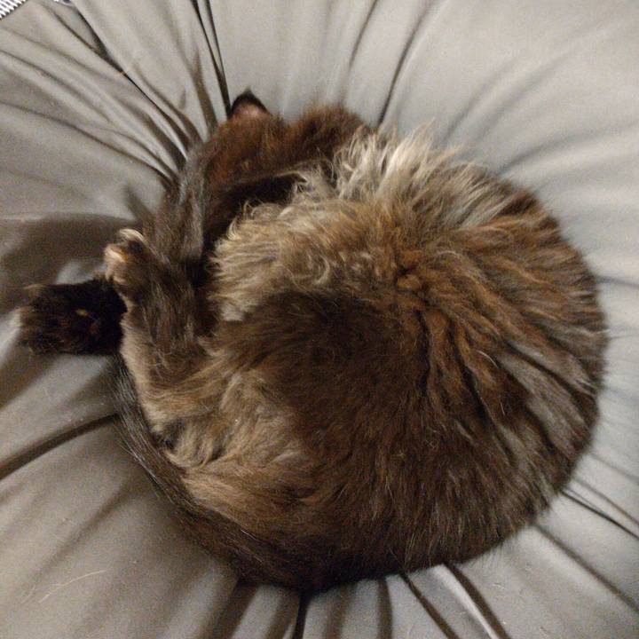 7831b6df 2374 4caf aaf4 4665f432ddb1 1619522284048