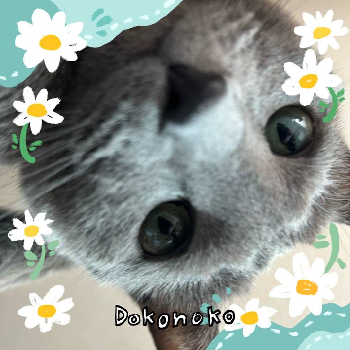 7831c093 efc1 4f5f be14 da9f756bf0bd 1712267447948