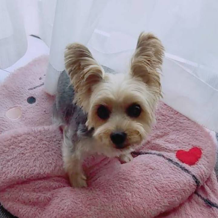 7831d372 88e9 4c5e 83c7 5cbd0449f6e0 1663475685359