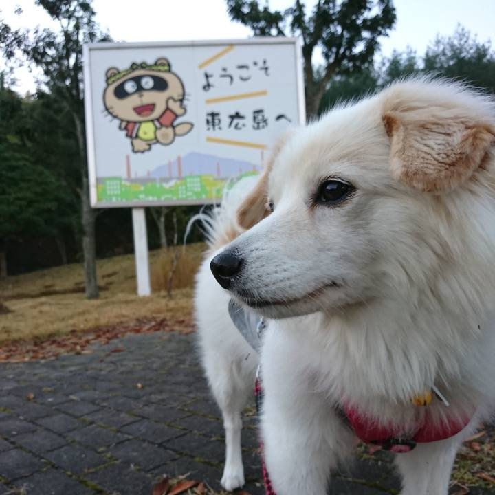 7831f237 3da8 410f 9001 b782dee183e0 1550406261757