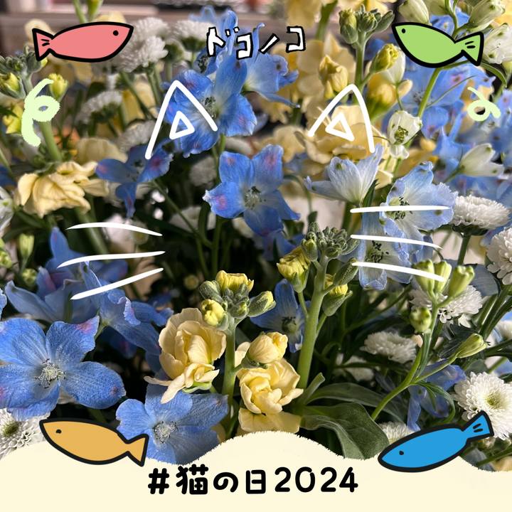 7832142e 110a 48af 9193 9d5c5d639a45 1708570782365