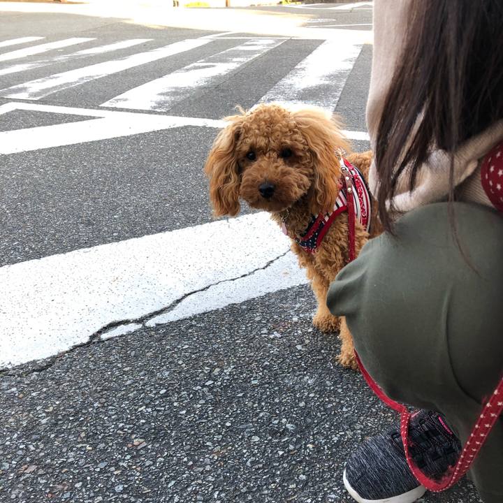 78326c00 8614 49db 93d6 2f110bdb1ec8 1618068931769