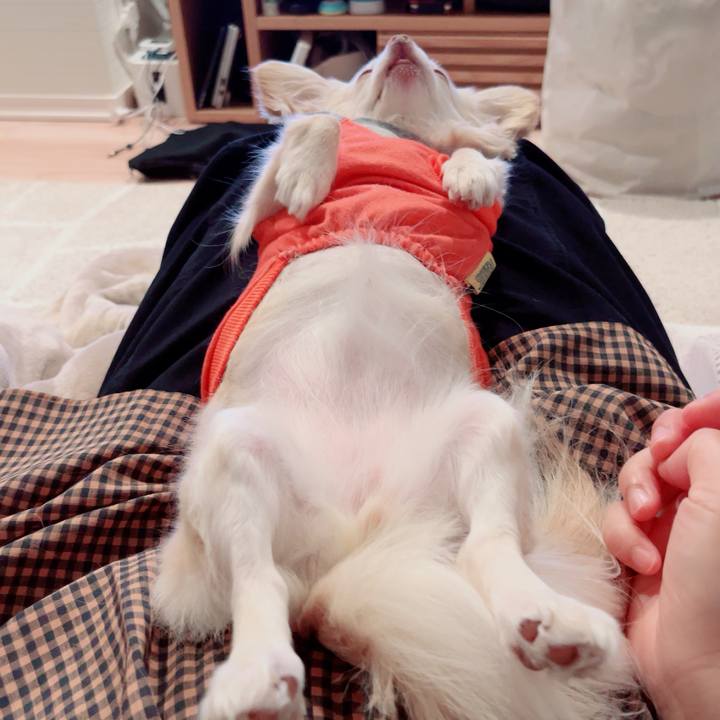 7832a1e2 6665 4b8e b0f1 0ad0221af374 1746867292203