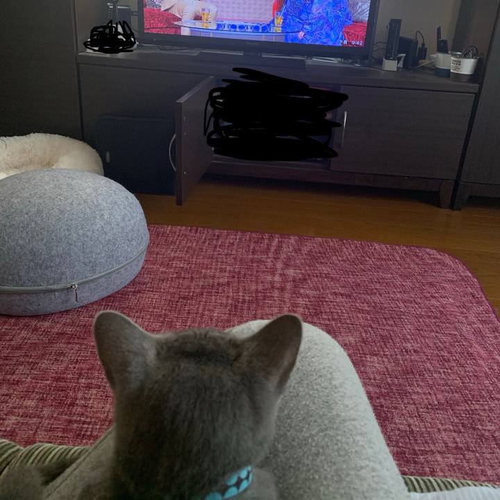 7832b61d a648 48ec 82e1 fbb29a7804da 1576630055624