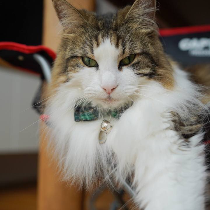 7832b924 12c9 4f4a 8865 926a8f5cf4b4 1623462221903