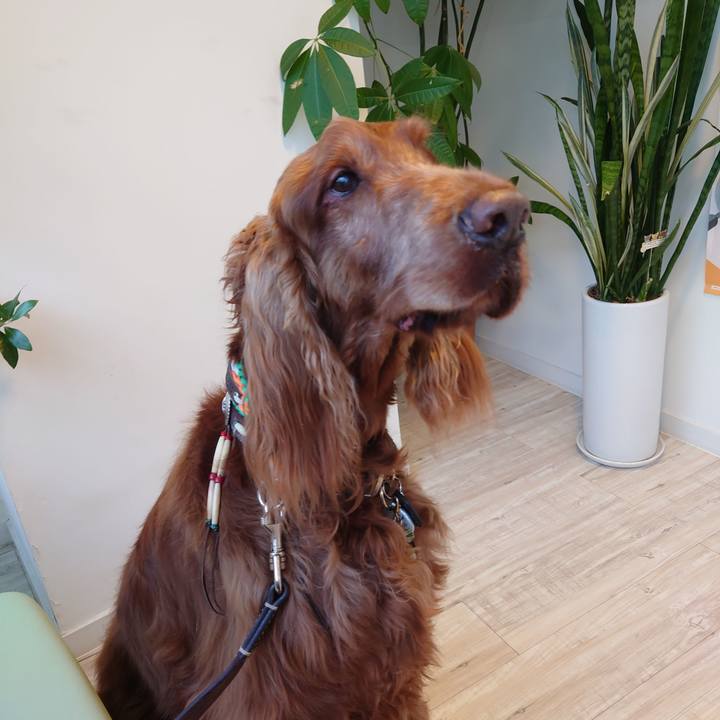 7832c6f2 83df 4920 b4e2 46ceb4897234 1615849488195