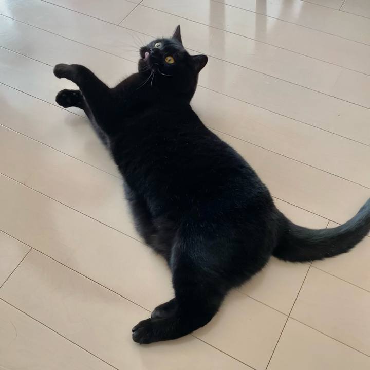 7832e37c 79ef 4427 a05a 0aab3636b3b1 1612942381171