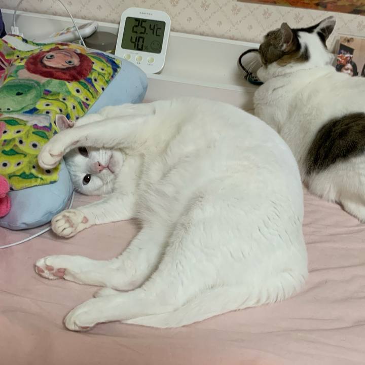 783301d9 84ac 492e 91ec fb8bcfd3285c 1606452889417