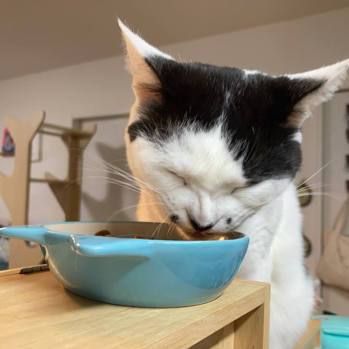 783307fe 7a75 4201 9606 c8f6a074c58c 1774300116203