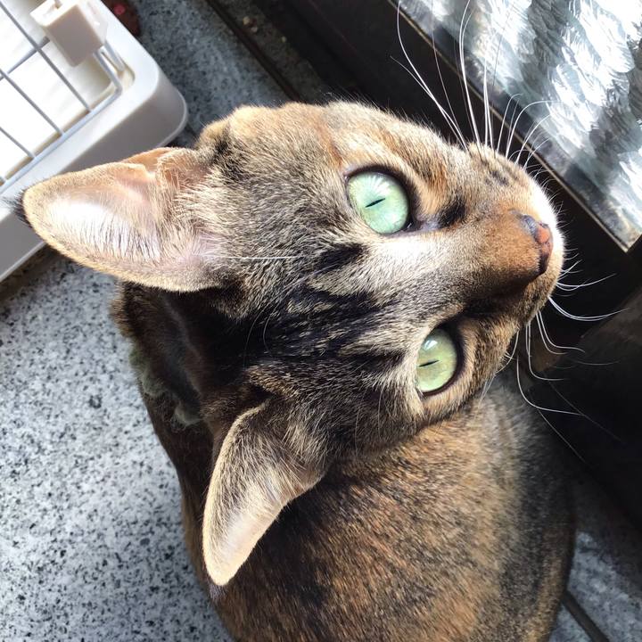 78331d39 16e3 4188 a724 3a9667bb5103 1644901834028