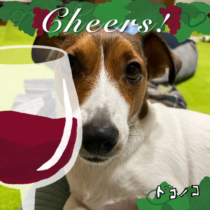 783321cc 1333 40b0 8249 6bd1b4950695 1761136033676