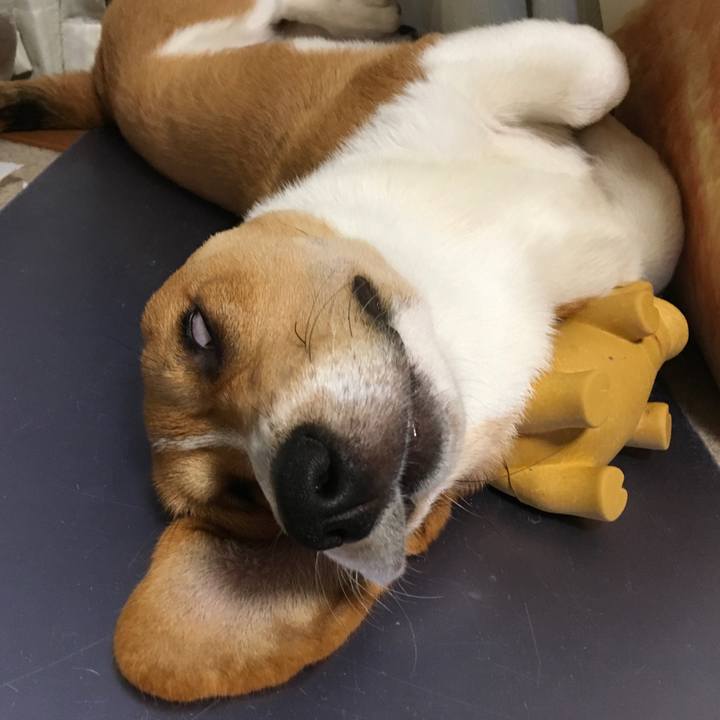 783329c6 07fb 49a2 abf9 5478d933fc65 1595431792761