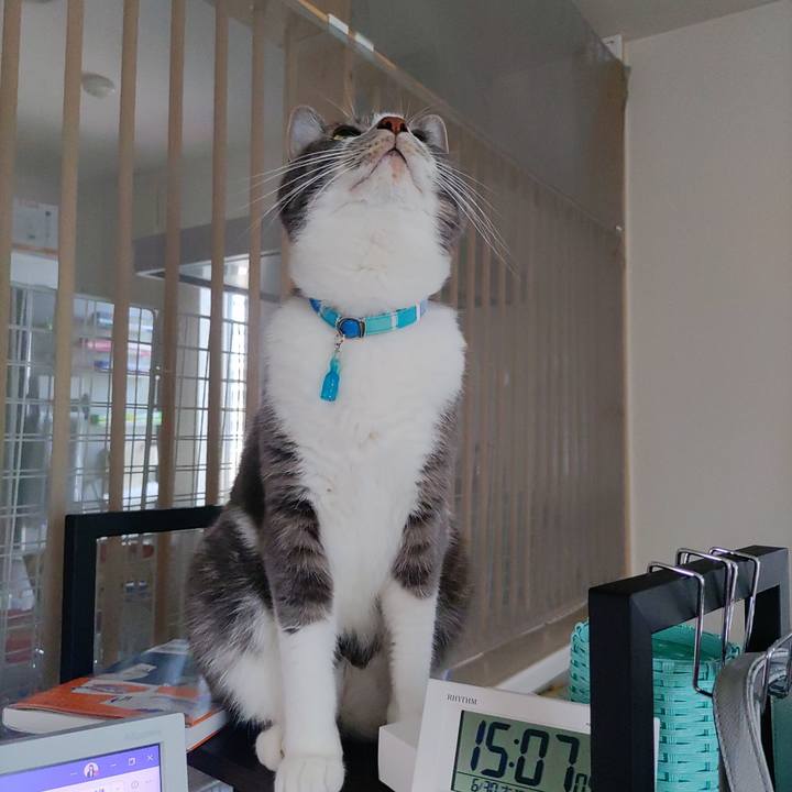 783347fa 5eb7 44bd b5b1 42f3a3a941e9 1656571817126