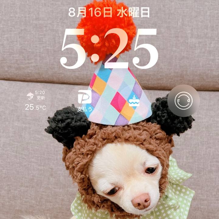 7833a6ca 33e9 4016 a336 ee3cb383d464 1692169460599