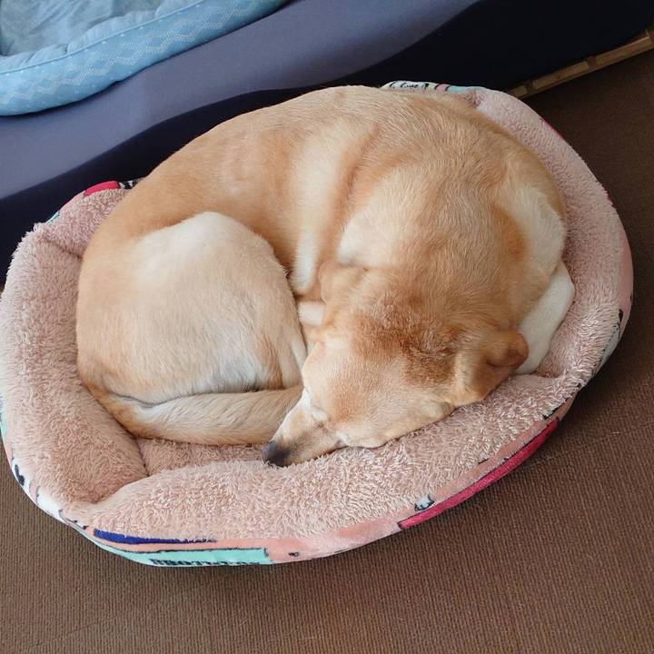 7833c68c e98b 496b b97a 7b97b079b57b 1668403093672