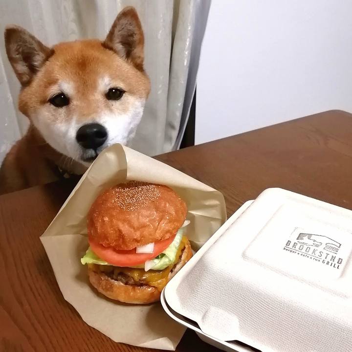 78346210 f1ef 429b 834e 73a512f8bd65 1674121775201