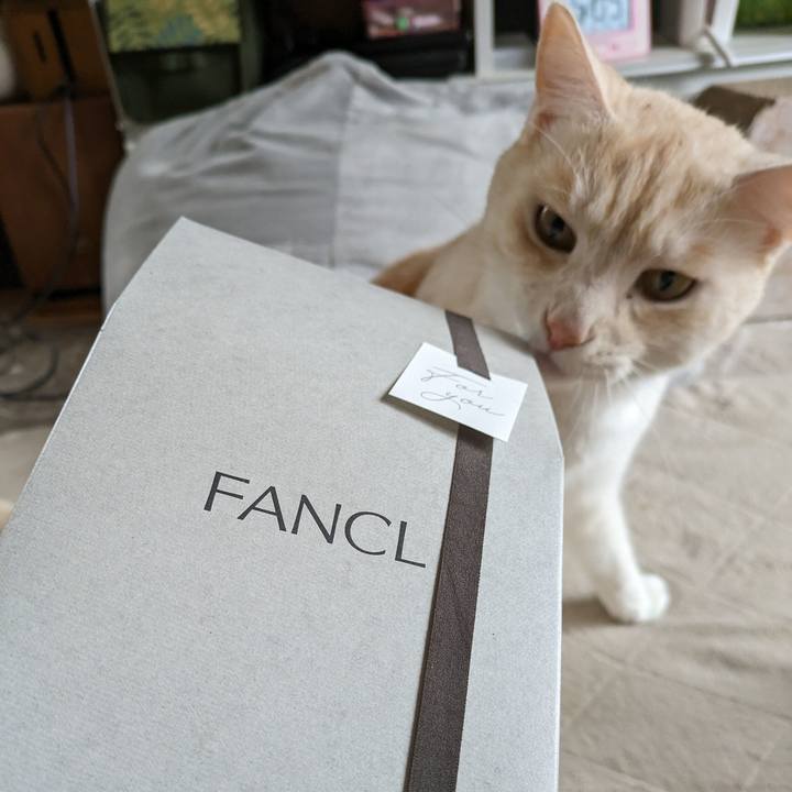 78346c12 aaea 476d 83f8 897747830907 1686913115301