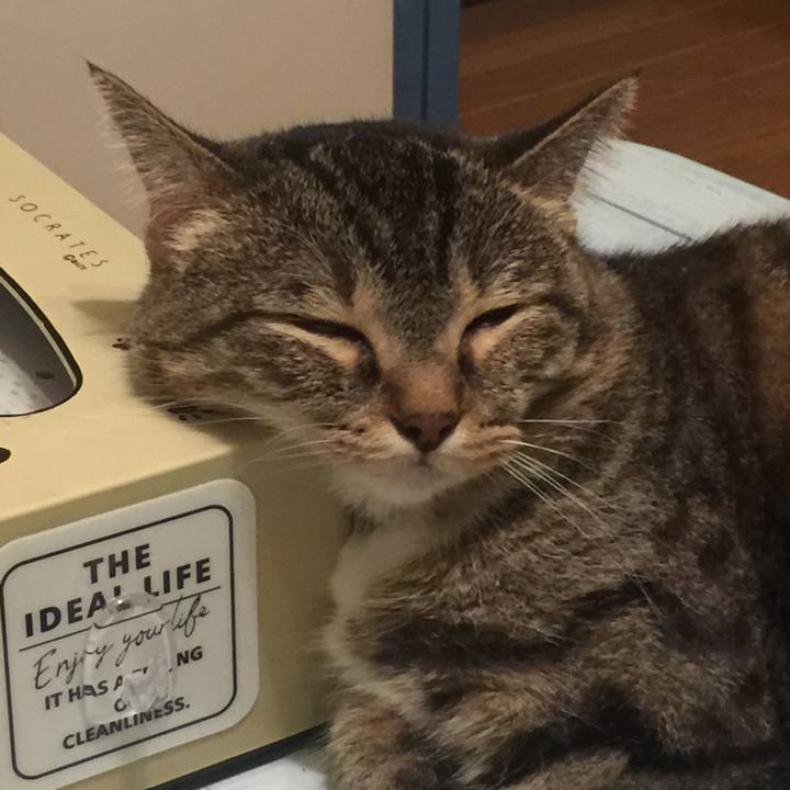 78346e6f 01cf 4a62 a9f4 2abd7dff9957 1566149056999