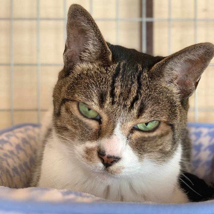 78348c8d 114a 456f a4a0 f1804675a58d 1601170112178