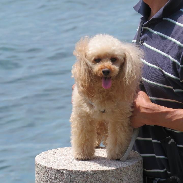 7834b82c 581f 4613 89a9 512aec362a90 1654332237285