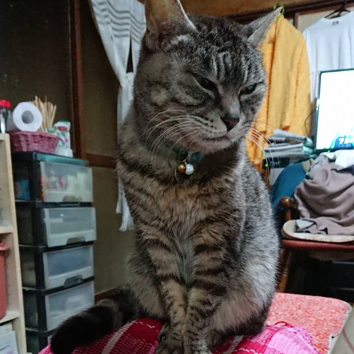 7834c17c 5d11 4ec9 8bd7 adfa3742143f 1552036715132