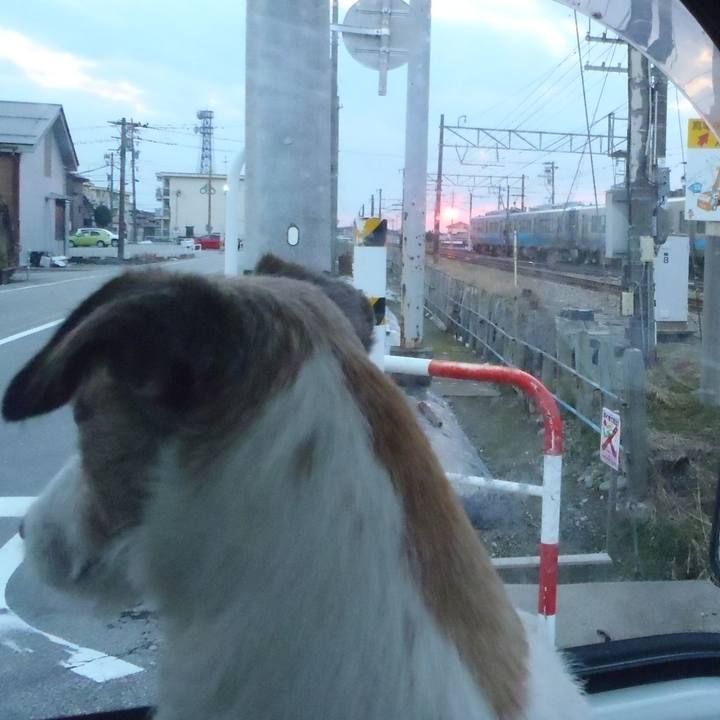 7834c253 a81f 4ae2 8a41 1a98ace38e86 1550923506241