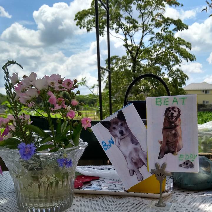 78353751 2908 48c3 8234 b96e73944f64 1627086756709