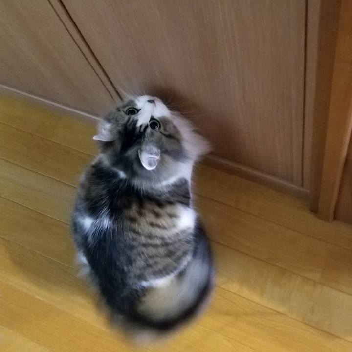 78353c4e f9ab 4830 ba11 f58cfce603ea 1549753628071