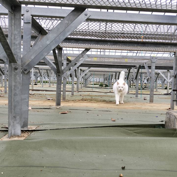 7835470b 0874 47f7 9a38 959527e39ae8 1770867814093