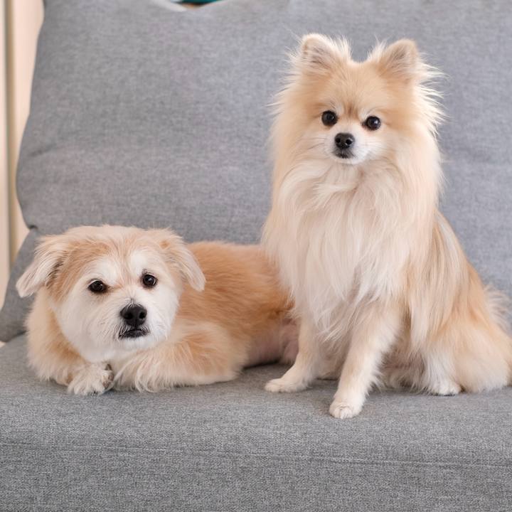 783579a6 985d 4c12 9952 e901eeaddc88 1774046202722