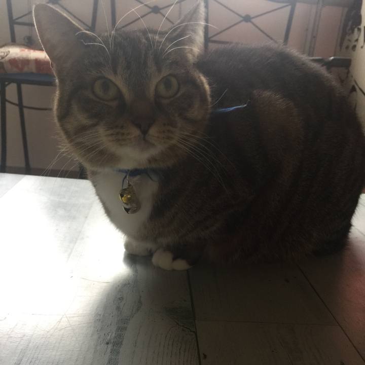 7835bb78 e15f 49b9 965c b43a0408aa57 1553915880331