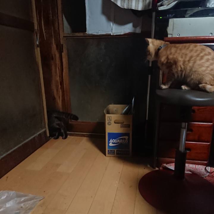 7835e35d 370f 4b83 8c61 31996a06e238 1635455014000