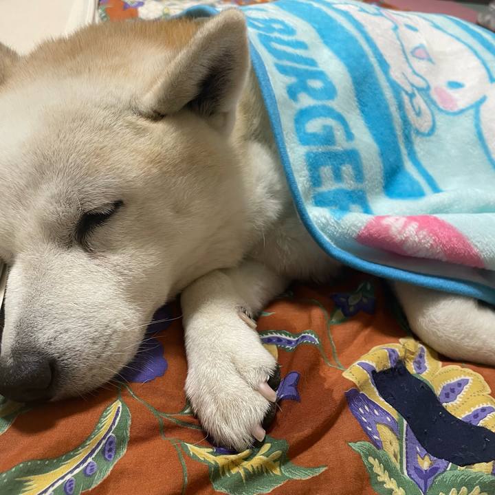 7835e676 e3d4 45ed 889b 34389c37fc15 1672920061677