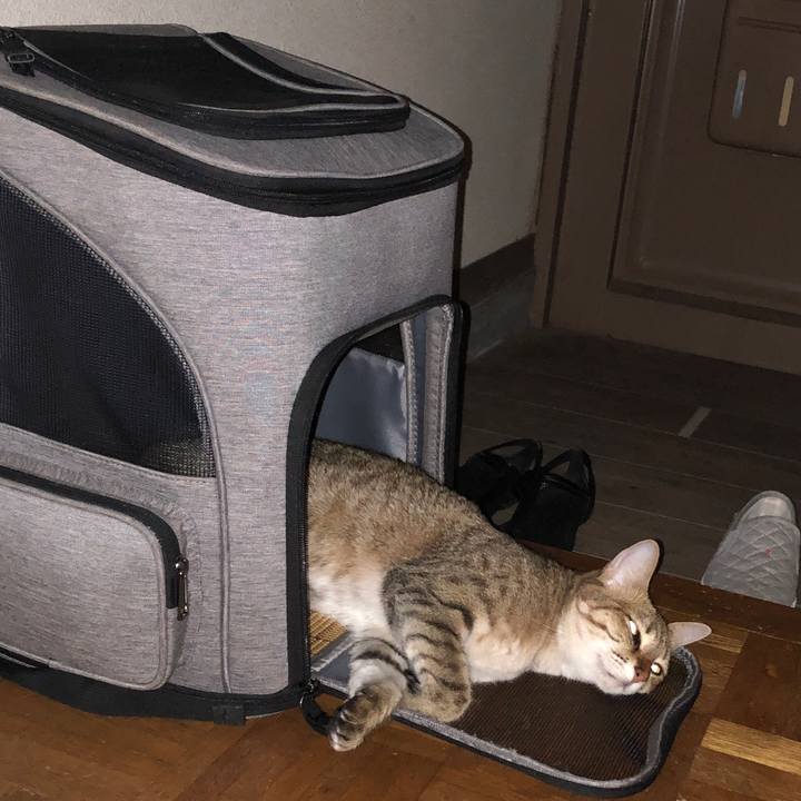 7836081d 88f4 47f7 bef0 cf5e83c8611e 1630075345069