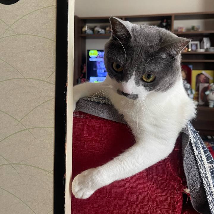 78364b9e f4a9 45bc 96e5 da518c7f849c 1648515911530