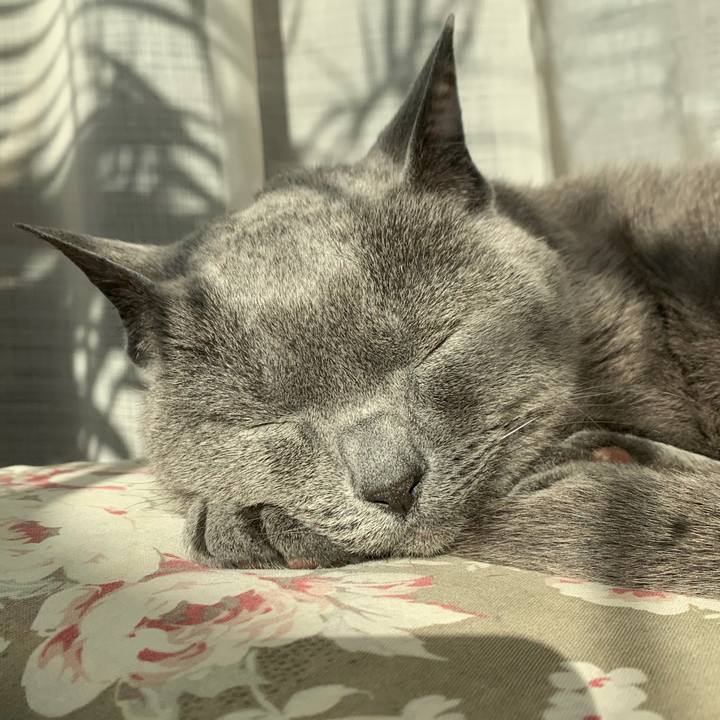 7836521a f373 4461 a6d9 d24d21ddfb5d 1609028181625