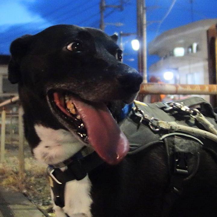 78365a5d bdc8 47ea b954 9f25c05cbafa 1659264333881