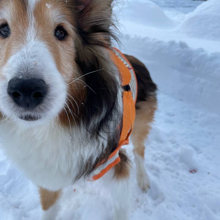 783677a8 b738 499f b4ff 759d60a3bc5b 1640487209663