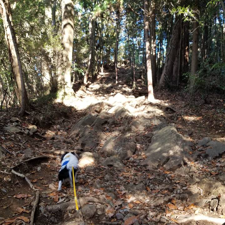 7836a44c c91c 45cc 9bfb ea4efa58e404 1669458757925