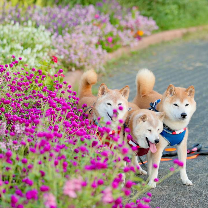 7836f36e 89ee 44d6 9b77 c0c1da91b3ff 1760282542860