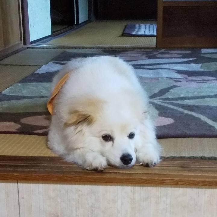 7837186a e192 42e4 80bb 17032c1224da 1562876721908