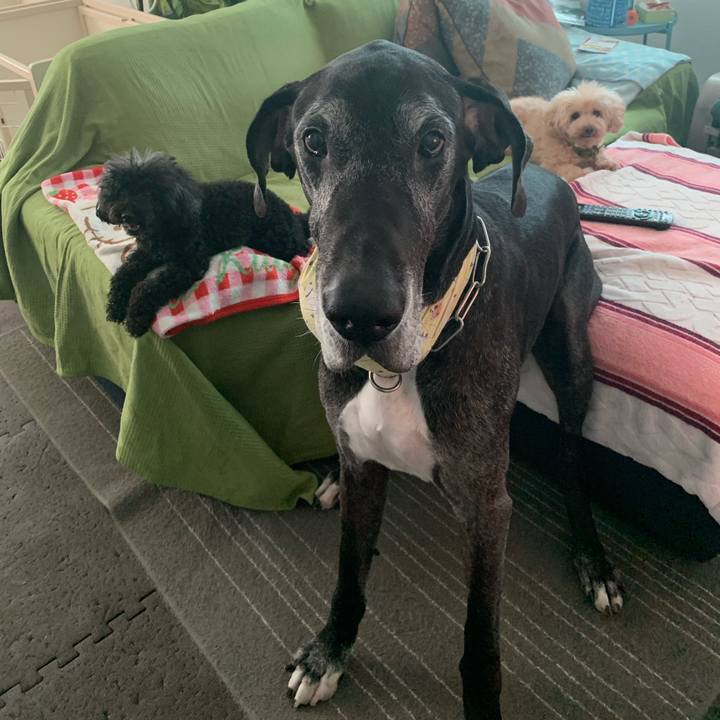 78372f78 1f61 411f b677 3a56d7fcd98c 1597446953176