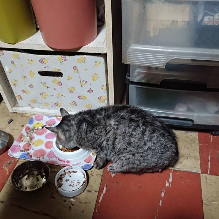 78374a90 03ac 4832 9782 c97655fa63f7 1574820981173