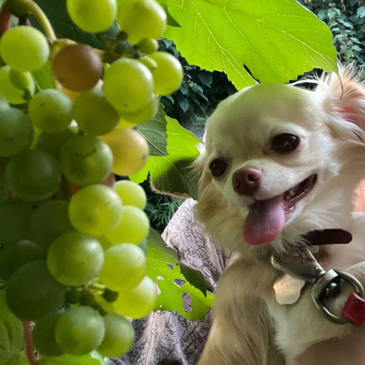 783763cb c10b 4226 b6c7 0906aa5b014f 1659441799618