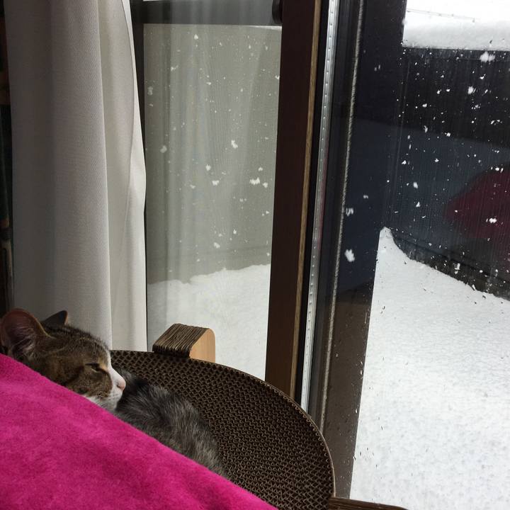 78378253 8315 48a1 8b30 39b7283e02d3 1674701794298