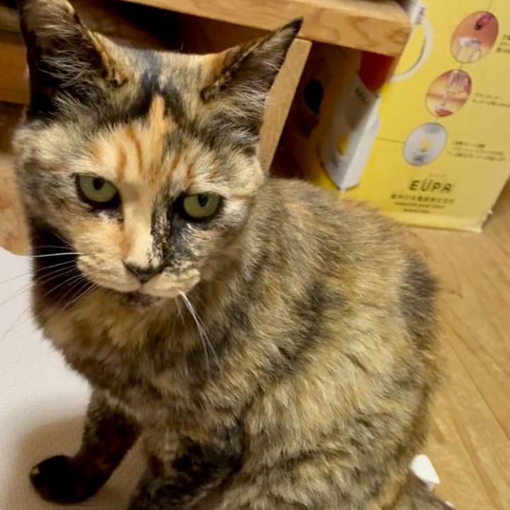 78378867 4fd6 4f1c 8e5f 2cfb071953aa 1749282908805