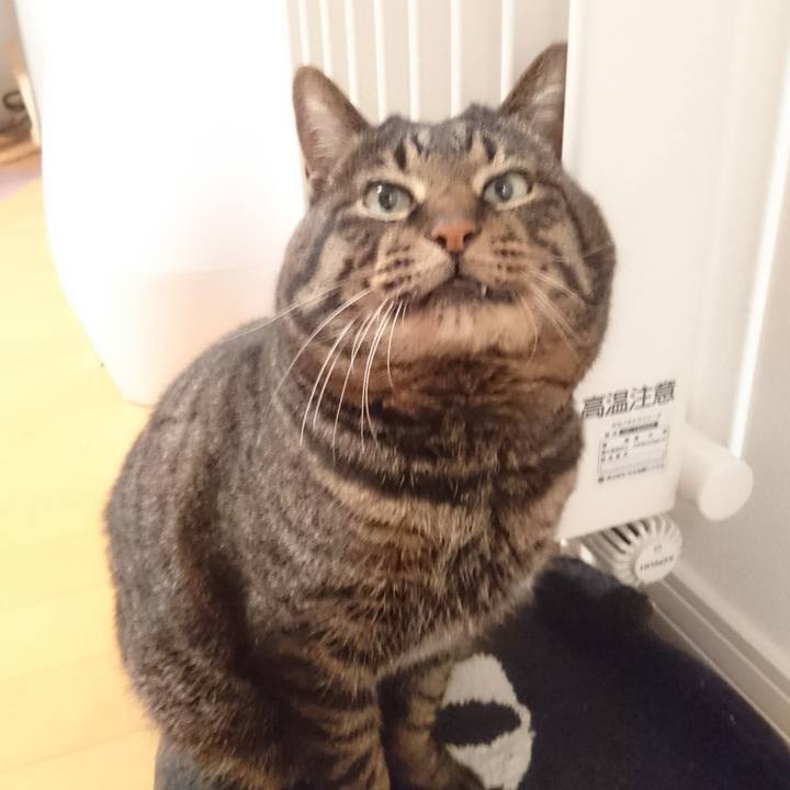 78379ef1 85ba 4c43 85cd 97d1e25433f8 1520756326153