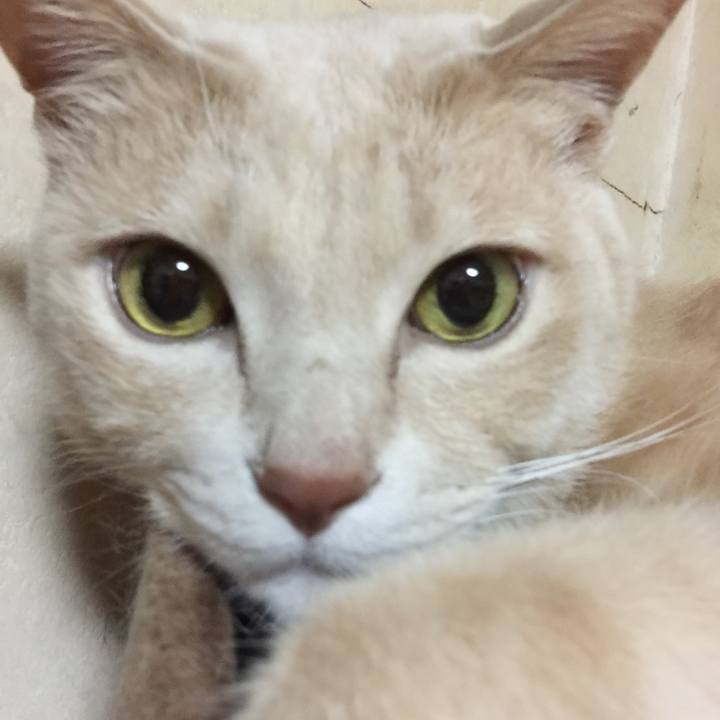 7837aa28 be54 4ca3 800c acff774d9803 1584964474213