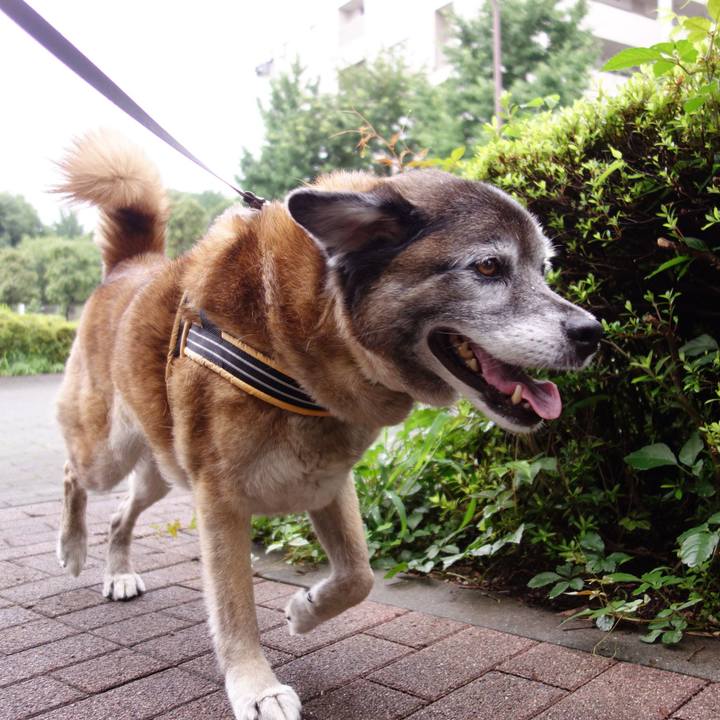 7837be6f b6be 40de 838c 95f61c7f9818 1562371570237